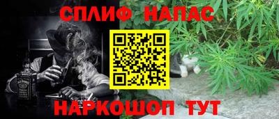 хмурый Сланцы
