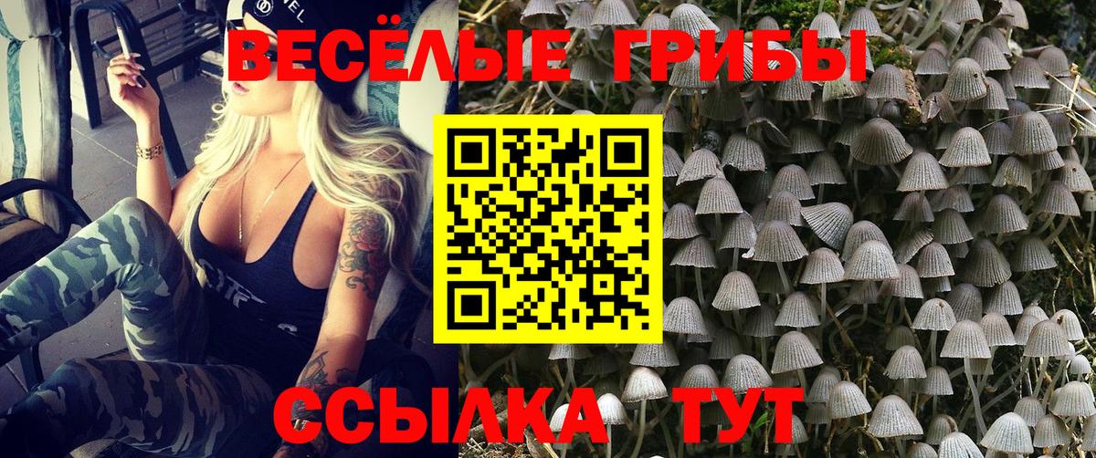 Галлюциногенные грибы ЛСД  Вход с VPN  Отрадный 